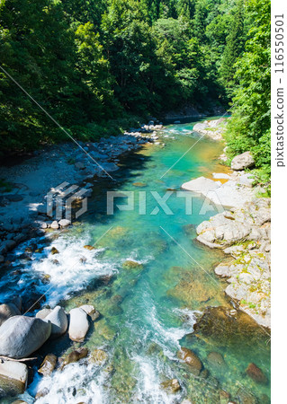 Nakatsugawa Valley (Akiyamago) Nakatsugawa Valley (Akiyamago) 116550501