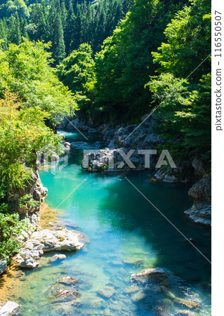 中津川谷(秋山鄉) 中津川谷(秋山鄉) 116550507