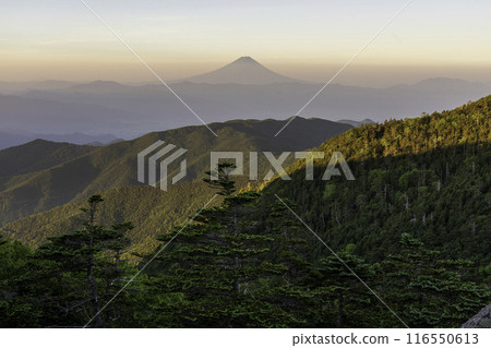 Mount Fuji at dawn from Mount Kokushigatake in summer 116550613