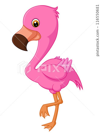 Cartoon Flamingo Standing on One Leg of illustration 116550681