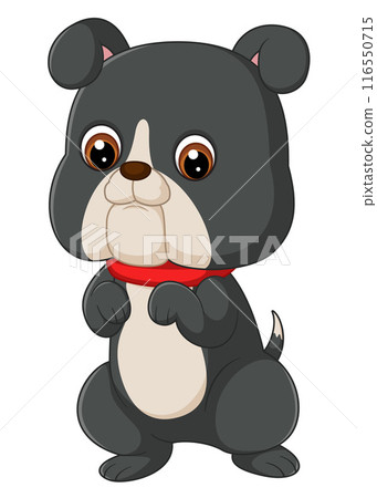 Cute baby bulldog stands wobbly, eyes wide with curiosity of illustration Cute baby bulldog stands wobbly, eyes wide with curiosity of illustration 116550715