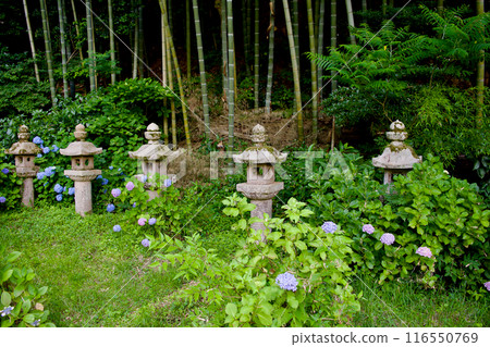 松江藩主月松時直正鬆平家墳墓上的燈籠 松江藩主月松時直正鬆平家墳墓上的燈籠 116550769