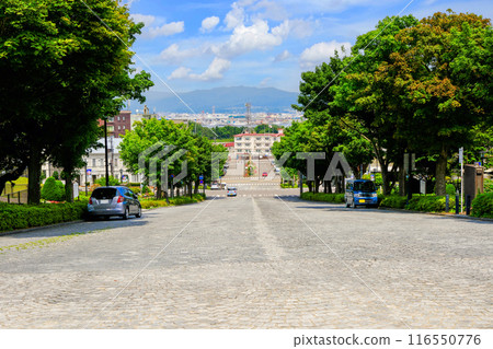 本坂展望 116550776