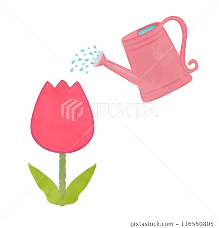 Watering with a cute watering can 116550805