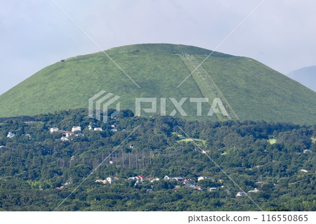 The green expanse of Mount Omuro in Izu 116550865