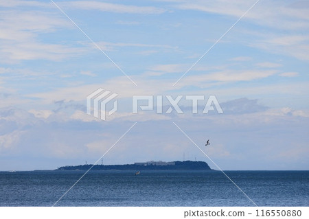 從伊東橘子灘到初島 1 116550880