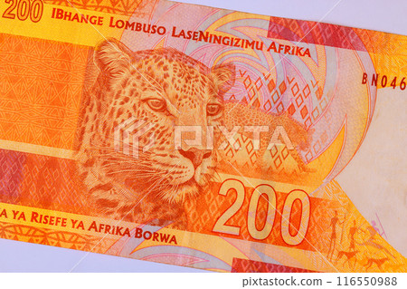 South African national bank issues 200 rand cash banknotes rear view 116550988