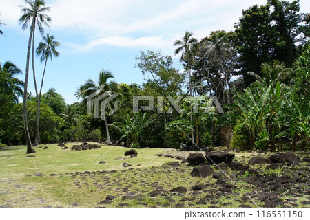 Arahurahu Marae, Tahiti 116551150