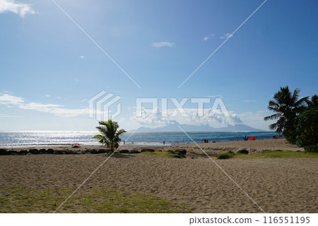 承諾巴伊亞海灘塔希提島 承諾巴伊亞海灘塔希提島 116551195