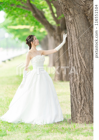 Wedding dress Wedding dress 116551584