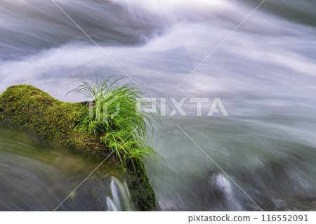 Summer Oirase Keiryu Sanran no Ie Towada City, Aomori Prefecture 116552091