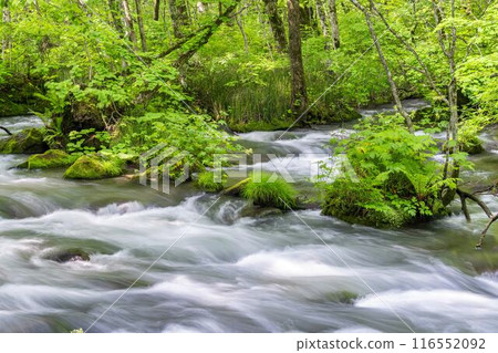 Summer Oirase Keiryu Sanran no Ie Towada City, Aomori Prefecture Summer Oirase Keiryu Sanran no Ie Towada City, Aomori Prefecture 116552092