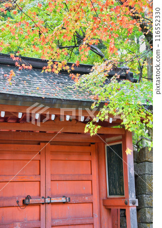 大原三千院朱雀門和美麗的紅葉（京都市左京區） 116552330