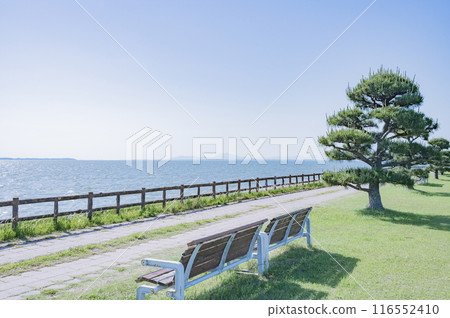 Lake Kasumigaura, Ibaraki (Tennozaki Park, Namegata City) Lake Kasumigaura, Ibaraki (Tennozaki Park, Namegata City) 116552410