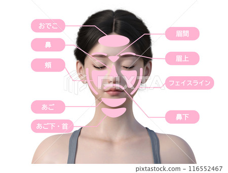 女性關心的臉部除毛治療部位圖解 日本3D模型上半身胸前臉 女性關心的臉部除毛治療部位圖解 日本3D模型上半身胸前臉 116552467