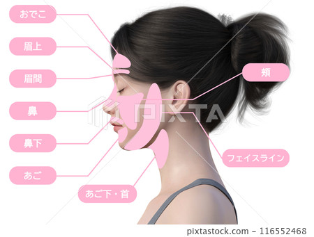 女性關心的臉部除毛治療部位圖解 日本3D模型上身半身側視圖 女性關心的臉部除毛治療部位圖解 日本3D模型上身半身側視圖 116552468