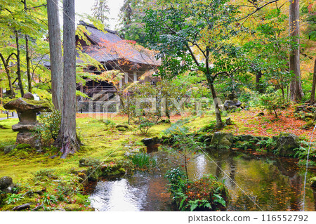 Ohara: Beautiful autumn foliage at Sanzen-in Temple (Sakyo Ward, Kyoto City) 116552792
