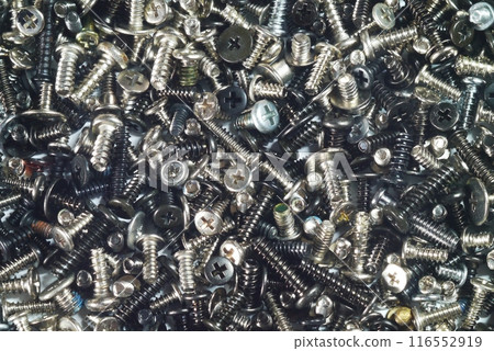 A small screw used in assembling a camera A small screw used in assembling a camera 116552919