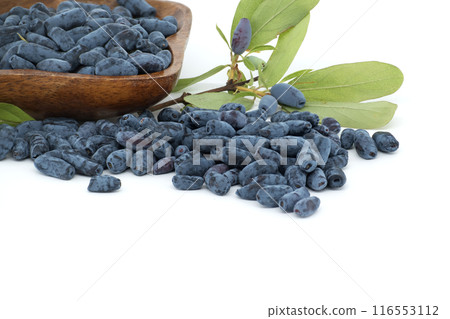 Honeyberry haskap berries isolated on white background 116553112