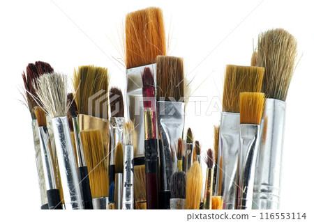 Various types and sizes of paintbrushes against a white 116553114