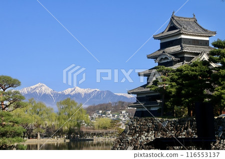 松本城和北阿爾卑斯山(長野縣松本市) 松本城和北阿爾卑斯山(長野縣松本市) 116553137