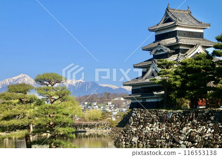 Matsumoto Castle and the Northern Alps (Matsumoto City, Nagano Prefecture) Matsumoto Castle and the Northern Alps (Matsumoto City, Nagano Prefecture) 116553138