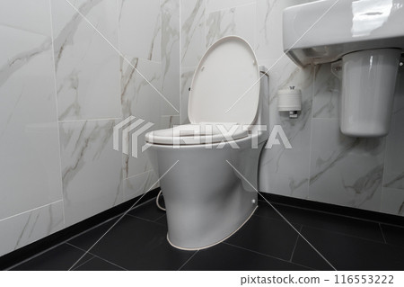 Toilet bowl in bathroom Toilet bowl in bathroom 116553222