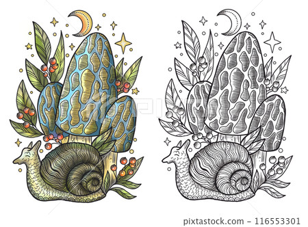 Celestial mystic mushrooms with magic and floral decorative design elements, snail, witchcraft symbols isolated on white. Esoteric and witchy objects, tattoo concept, hand drawn colorful clipart Celestial mystic mushrooms with magic and floral decorative design elements, snail, witchcraft symbols isolated on white. Esoteric and witchy objects, tattoo concept, hand drawn colorful clipart 116553301