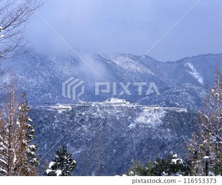 天空之城的雪景「竹田城跡」/從朝來山半山腰眺望/日本名城百選/國家指定史蹟 116553373