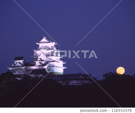 World Cultural Heritage Himeji Castle and the Harvest Moon/Super Moon (from Keifukuji Park Observatory)/Himeji City, Hyogo Prefecture 116553376