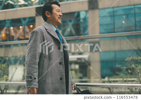 business man, winter, gents 116553478