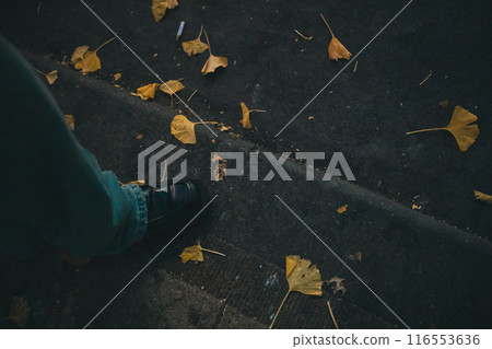 foot, underfoot, fall 116553636