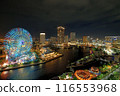 Night view with ferris wheel 116553968