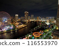Night view with ferris wheel 116553970