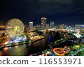 Night view with ferris wheel 116553971
