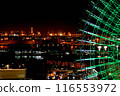 Night view with ferris wheel 116553972