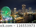Night view with ferris wheel 116553973