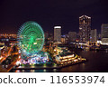 Night view with ferris wheel 116553974