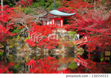[京都府]醍醐寺對稱的紅葉（弁天池、弁天橋、弁天堂） 116554313
