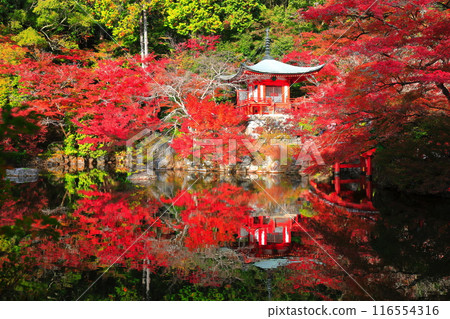 [Kyoto Prefecture] Symmetrical autumn leaves at Daigoji Temple (Benten Pond, Benten Bridge, and Bentendo) 116554316
