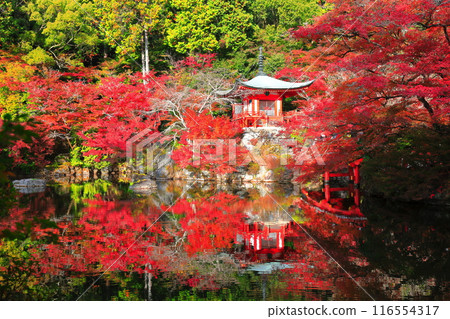 [Kyoto Prefecture] Symmetrical autumn leaves at Daigoji Temple (Benten Pond, Benten Bridge, and Bentendo) 116554317