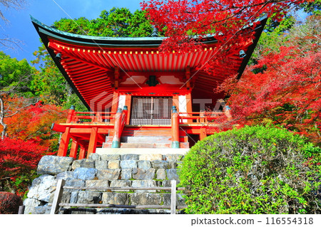 [Kyoto Prefecture] Autumn leaves at Bentendo Hall of Daigoji Temple on a clear day 116554318