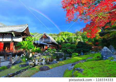 [京都府]醍醐寺三寶院庭園的紅葉與彩虹 116554333