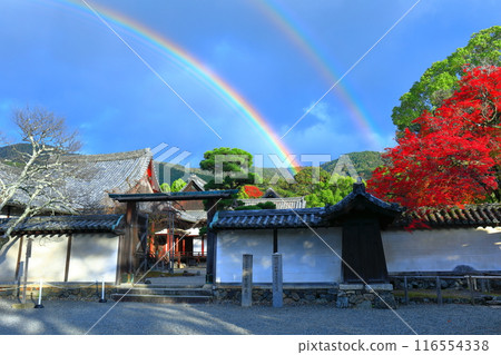 [京都府]醍醐寺三寶院庭園的紅葉與彩虹 116554338