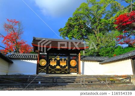 [Kyoto Prefecture] Autumn leaves and rainbow at the Sanboin Karamon Gate of Daigoji Temple 116554339