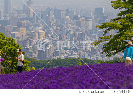 Hokkaido Sapporo City Horomi Rin Lavender 116554436