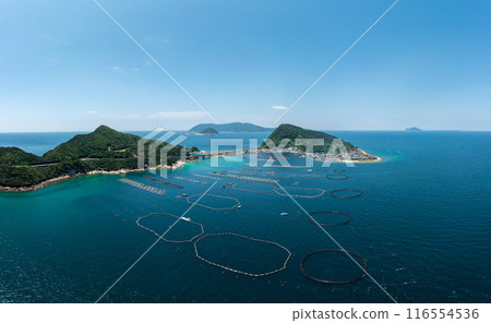 柏島（高知縣大月町） 116554536
