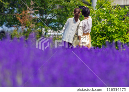 北海道札幌市Horomi Rin薰衣草 116554575