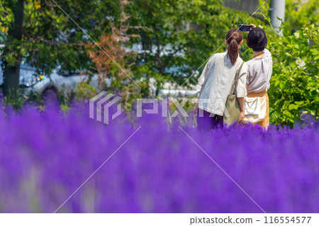 北海道札幌市Horomi Rin薰衣草 116554577