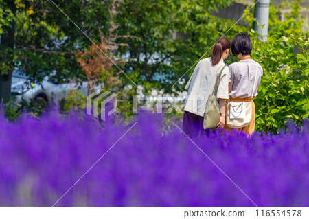 北海道札幌市Horomi Rin薰衣草 116554578